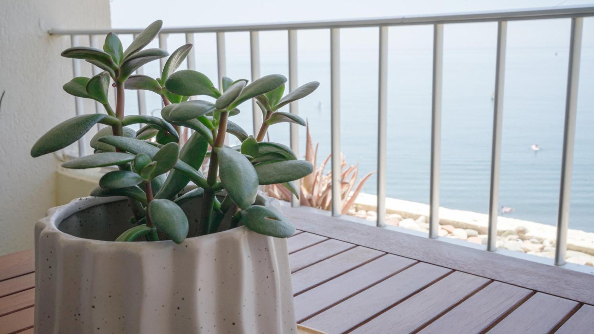 Apartamento Brisa Del Mar Almunecar Exterior foto